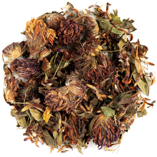 Red Clover